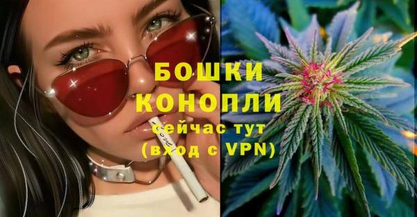 МДПВ Верхний Тагил