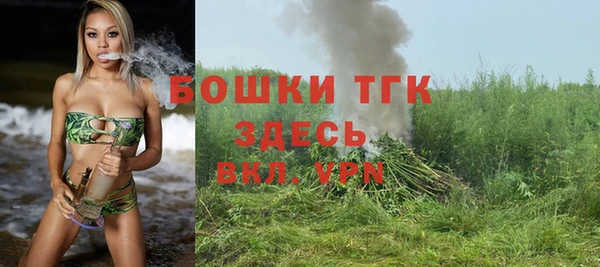 МДПВ Верхний Тагил